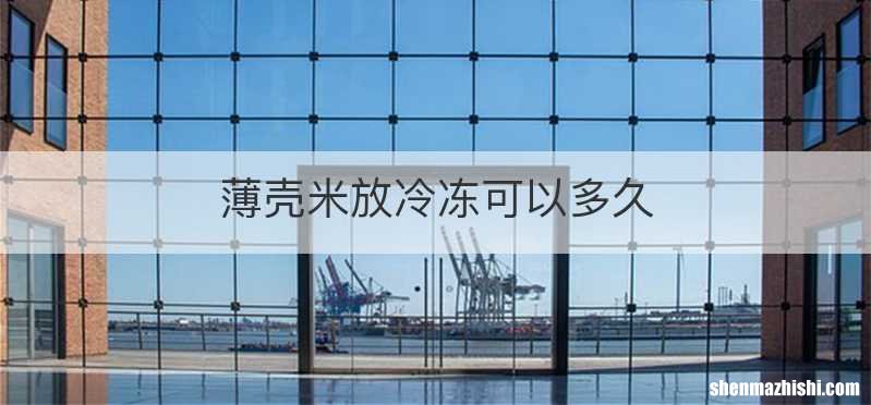 薄壳米放冷冻可以多久