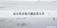卤水放冰箱冷藏还是冷冻