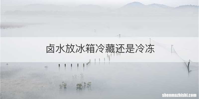 卤水放冰箱冷藏还是冷冻