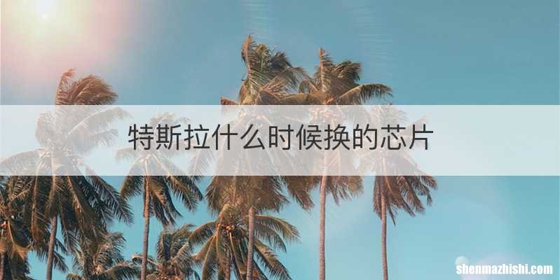 特斯拉什么时候换的芯片