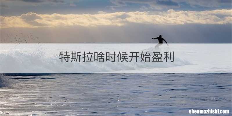 特斯拉啥时候开始盈利