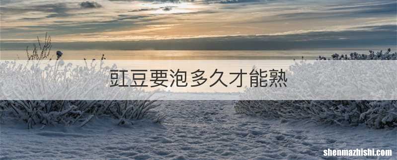 豇豆要泡多久才能熟