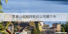 苹果公司和特斯拉公司哪个牛