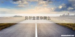 贝尔金是杂牌么
