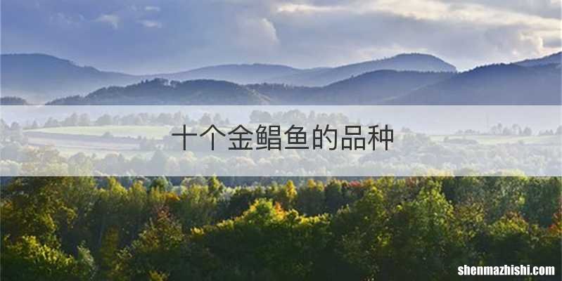 十个金鲳鱼的品种