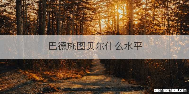 巴德施图贝尔什么水平