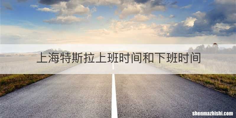 上海特斯拉上班时间和下班时间