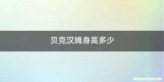 贝克汉姆身高多少
