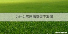 为什么高压锅蒸蛋不凝固