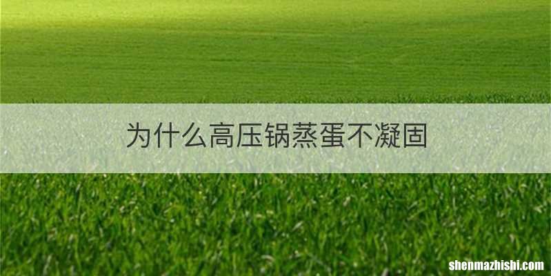 为什么高压锅蒸蛋不凝固