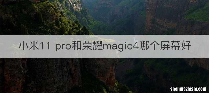 小米11 pro和荣耀magic4哪个屏幕好