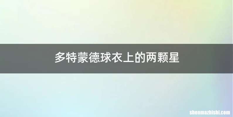 多特蒙德球衣上的两颗星