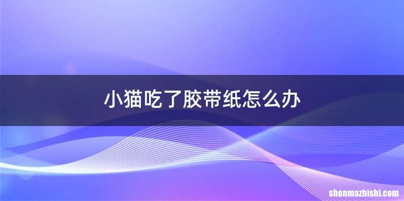 小猫吃了胶带纸怎么办