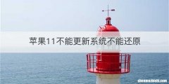 苹果11不能更新系统不能还原