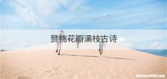 赞桃花瓣满枝古诗
