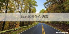 ikun这是什么语音