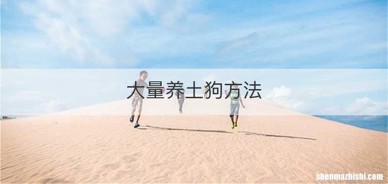 大量养土狗方法