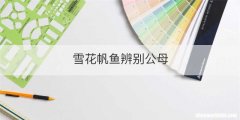 雪花帆鱼辨别公母