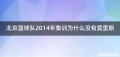 北京篮球队2014年集训为什么没有莫里斯