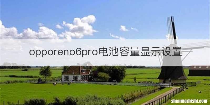 opporeno6pro电池容量显示设置