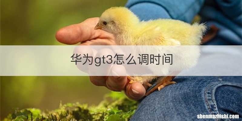华为gt3怎么调时间