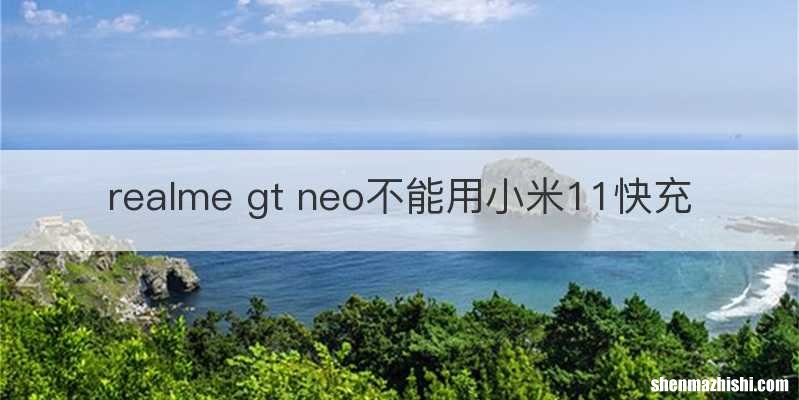 realme gt neo不能用小米11快充
