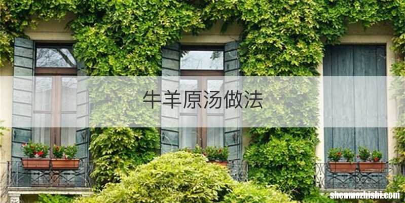 牛羊原汤做法