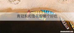 青冠梨和雪花梨哪个好吃