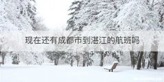 现在还有成都市到湛江的航班吗