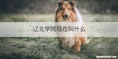 辽北学院现在叫什么