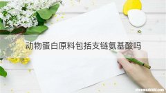 动物蛋白原料包括支链氨基酸吗