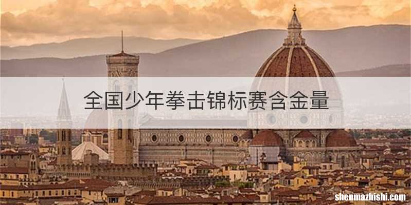 全国少年拳击锦标赛含金量