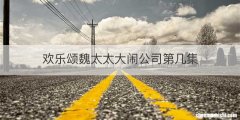 欢乐颂魏太太大闹公司第几集