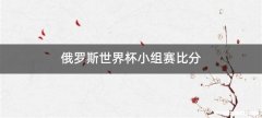俄罗斯世界杯小组赛比分
