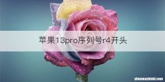 苹果13pro序列号r4开头