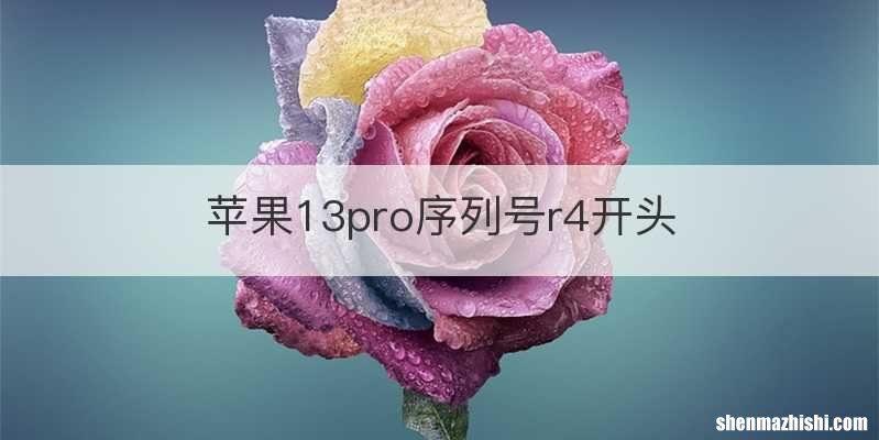 苹果13pro序列号r4开头