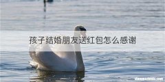 孩子结婚朋友送红包怎么感谢