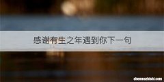 感谢有生之年遇到你下一句