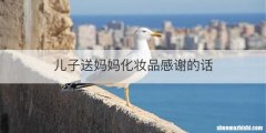 儿子送妈妈化妆品感谢的话