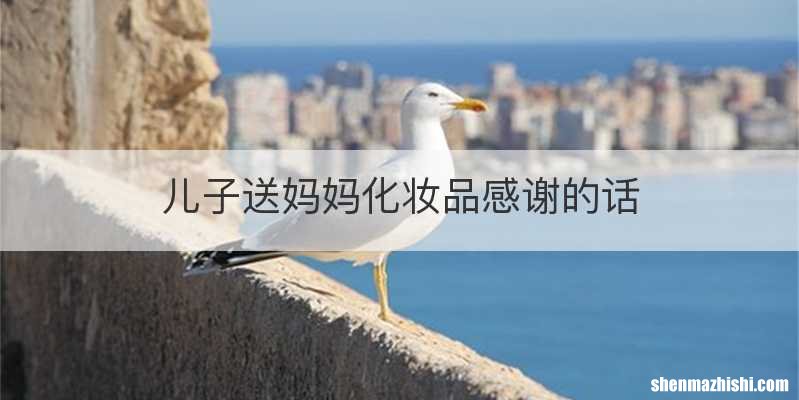 儿子送妈妈化妆品感谢的话