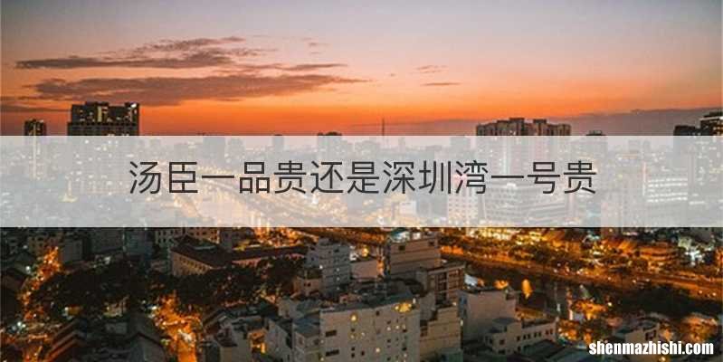汤臣一品贵还是深圳湾一号贵