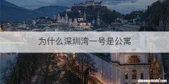 为什么深圳湾一号是公寓
