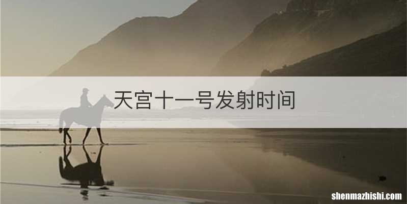 天宫十一号发射时间