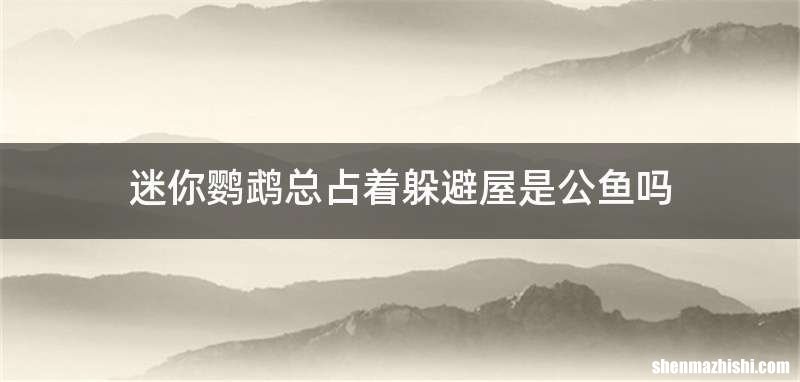 迷你鹦鹉总占着躲避屋是公鱼吗