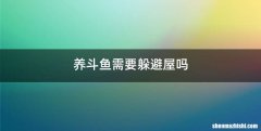 养斗鱼需要躲避屋吗