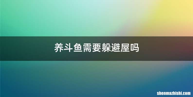 养斗鱼需要躲避屋吗