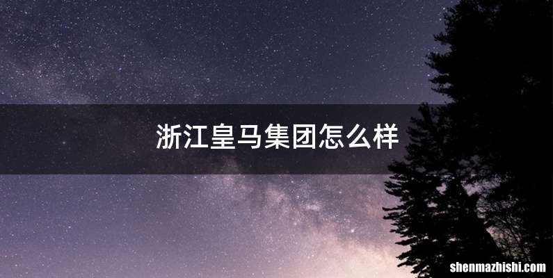 浙江皇马集团怎么样