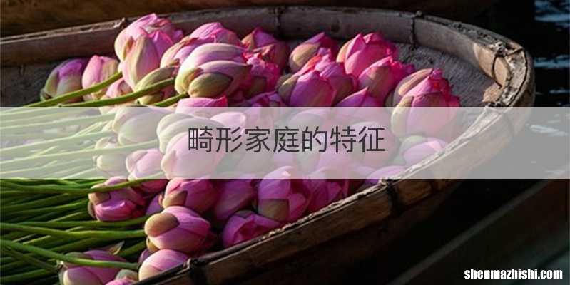 畸形家庭的特征