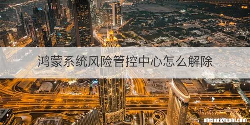 鸿蒙系统风险管控中心怎么解除