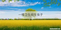 一楼卫生间生虫子